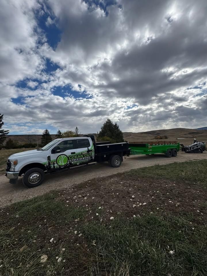 All Photos for Clean Cut Tree Service in Gillette, WY