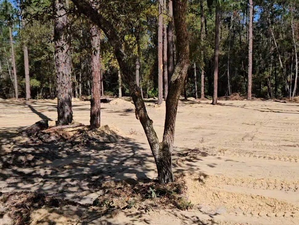 Land Clearing for J & E Land Clearing, LLC. in Dunnellon, FL