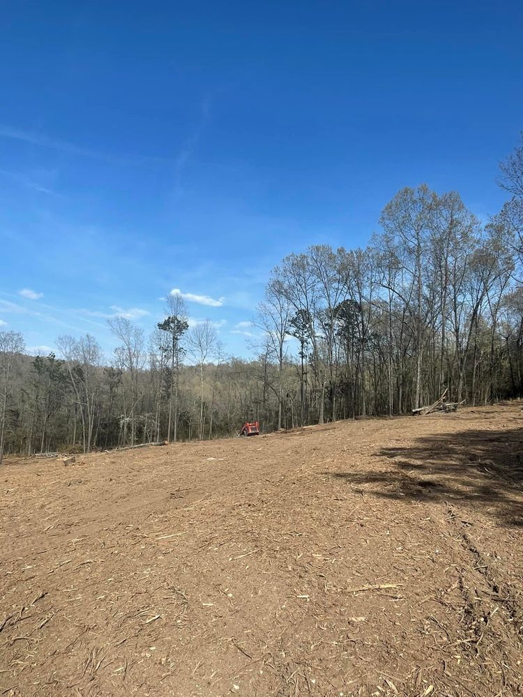 Pasture Reclamation for Bass Land Management in Yellville, AR