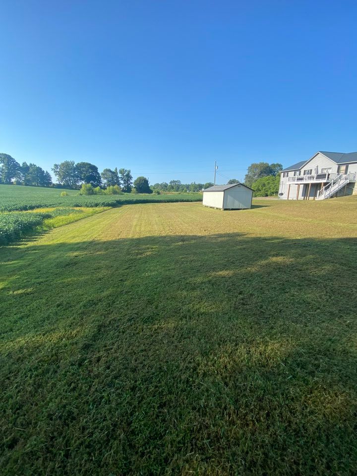 Lawn Care for Apex Lawn & Landscaping INC in Dyersburg, TN