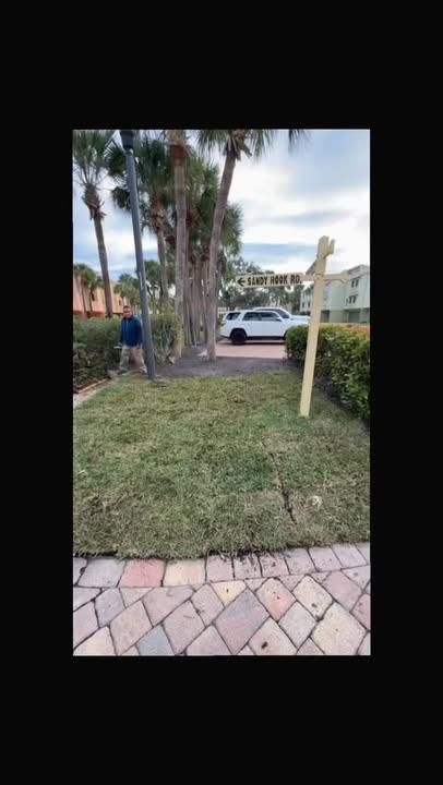 Fall Clean Up for AGT Landscape & Design LLC. in Saint Petersburg, FL