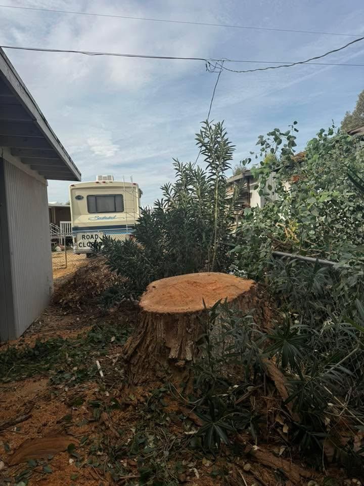 All Photos for Top Notch Landscape Services LLC in Mohave Valley, AZ