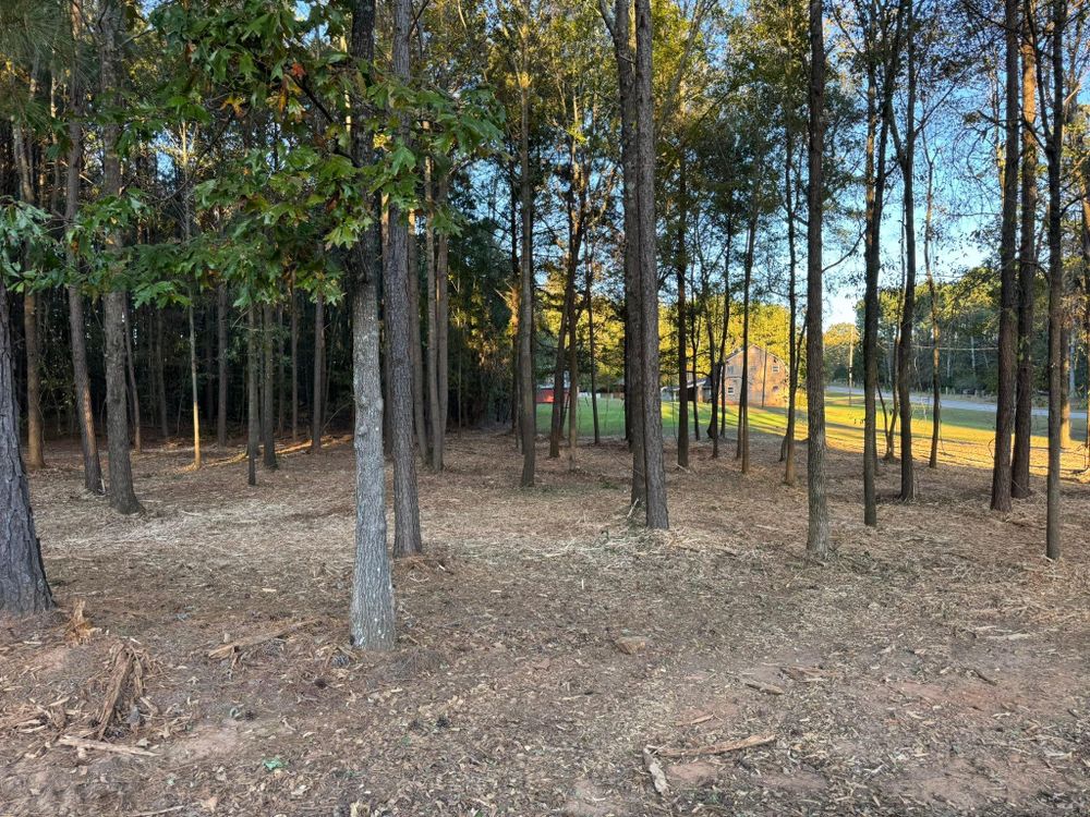 All Photos for KLNAX Enterprises in Newton County, GA