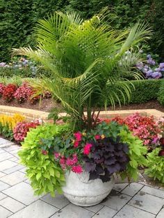 All Photos for Cole Landscaping & Pools, LLC in Amarillo, TX