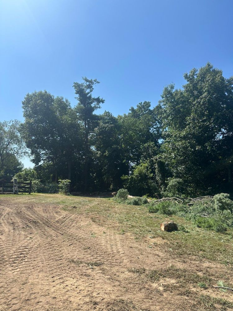 All Photos for Silver City Tree and Landscape in Taunton, MA