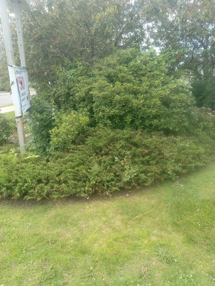 All Photos for K Brown's Property Maintenance in Pittsfield, MA