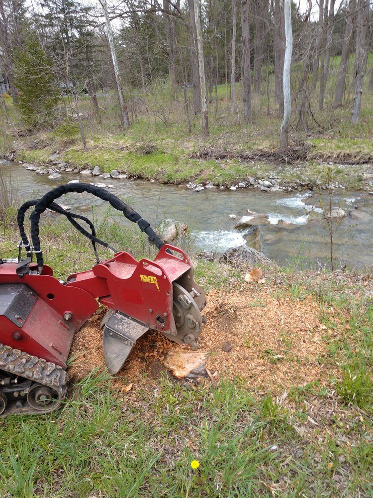 Stump Removal for TH Property Service, LLC in Manlius, NY