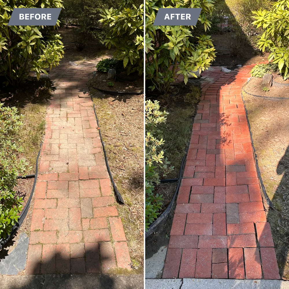 All Photos for LeafTide Solutions in Richmond, VA