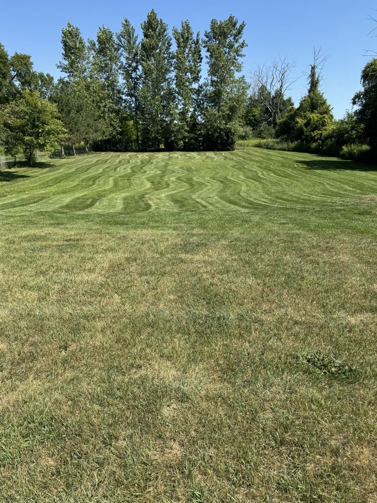 Landscaping Lawn Care for Daugherty's Tough Lawn Care in Essexville, MI
