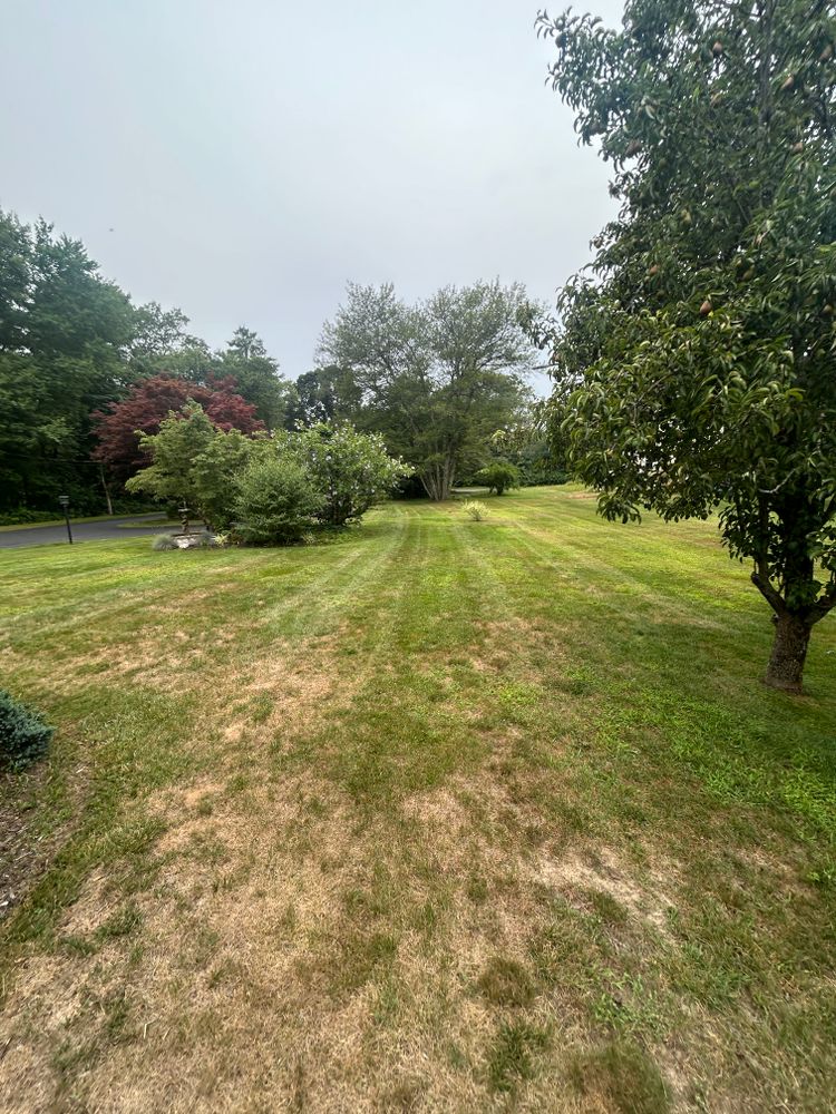 All Photos for Lucas Property Maintenance LLC in New Bedford, MA