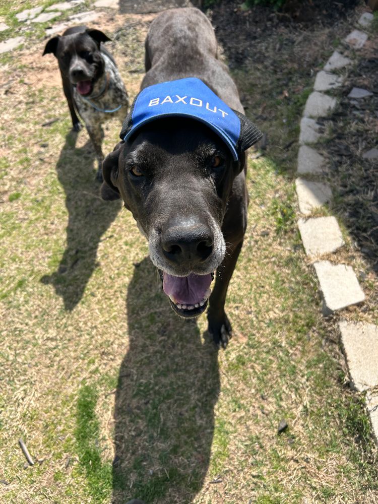 All Photos for Baxout Plumbing & Drain in Bristow, OK