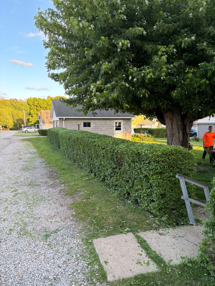 All Photos for Cam Yardz in Washington, PA