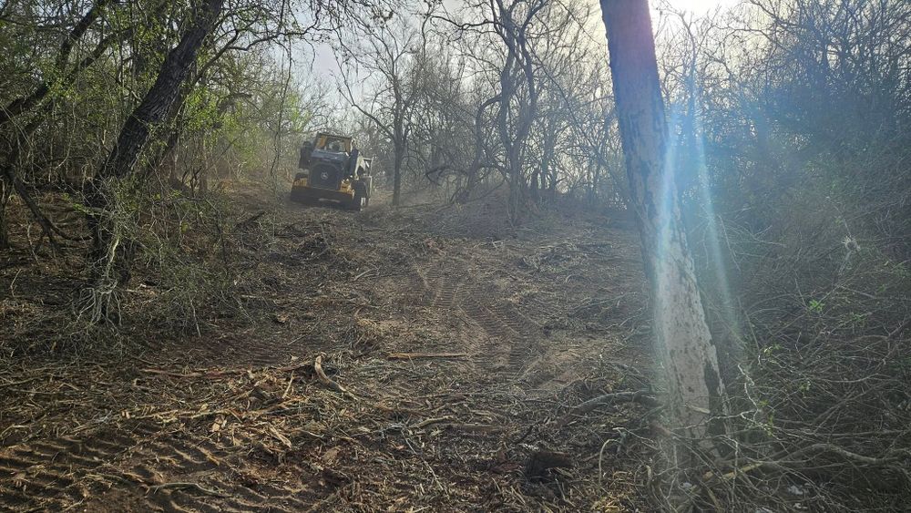 Land Clearing for Hernandez Land Clearing Services in Alice, TX
