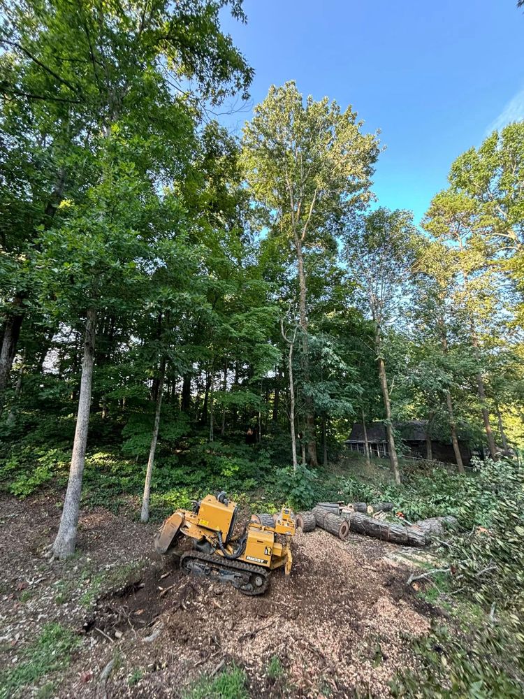 Tree Services for SEALY TREE and LAWN in Cleveland, TN