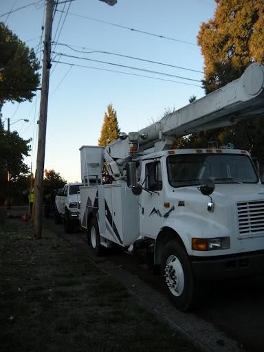 All Photos for Willamette Landscaping & Tree Services in Albany, OR