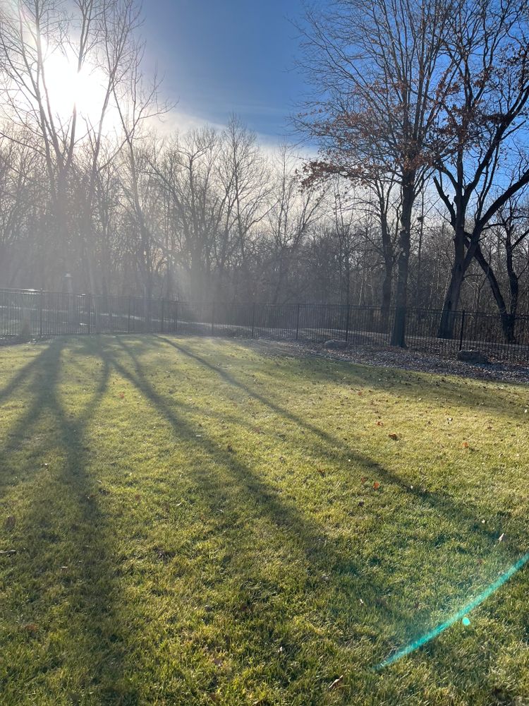 All Photos for Cross Family Tree Service in Kearney, MO