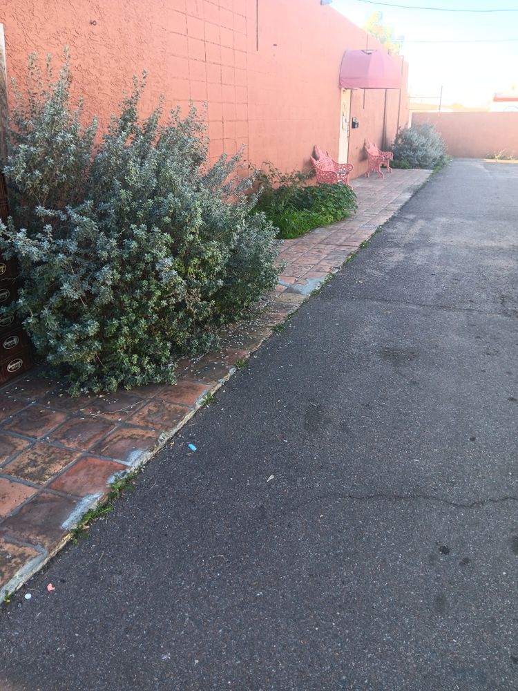 All Photos for Family Landscaping in Phoenix, AZ