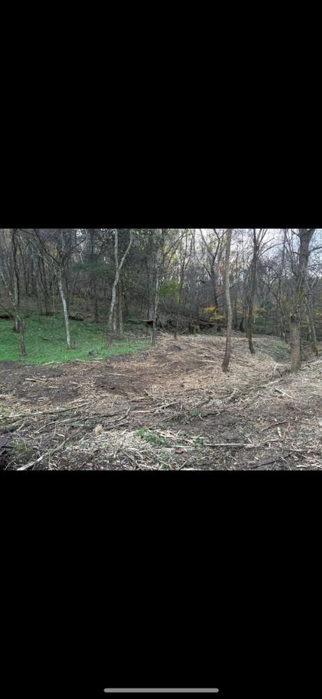 Land Clearing for Gregory Grass and Land in Lafayette, TN