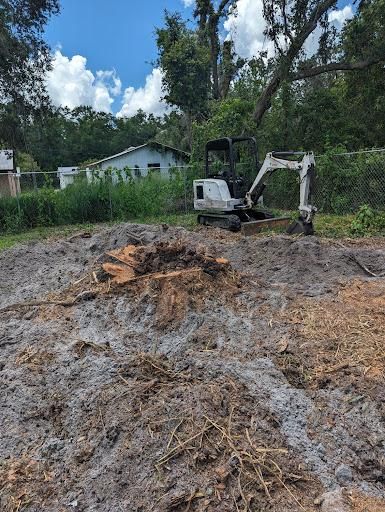 All Photos for Regal Tree Service and Stump Grinding in Wauchula, FL