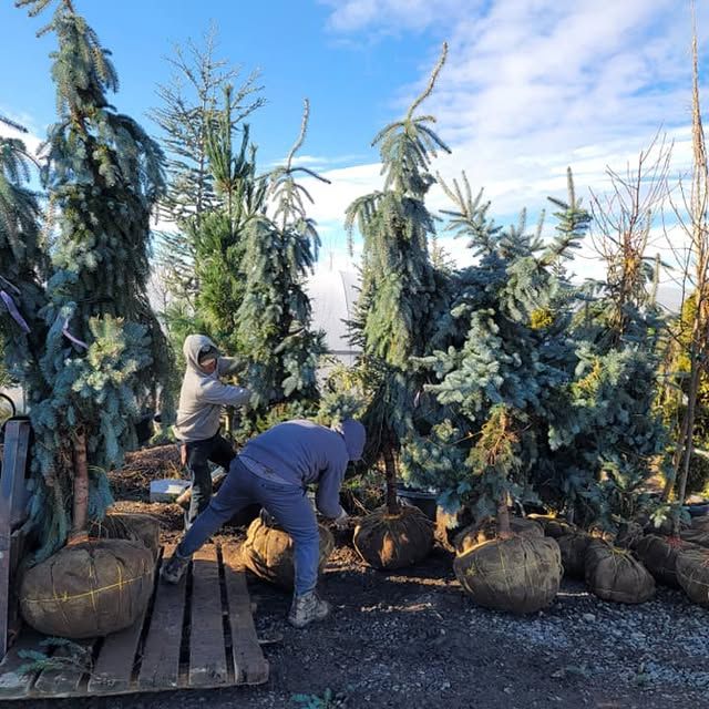 All Photos for Mike's Grading Plus in Caldwell, ID