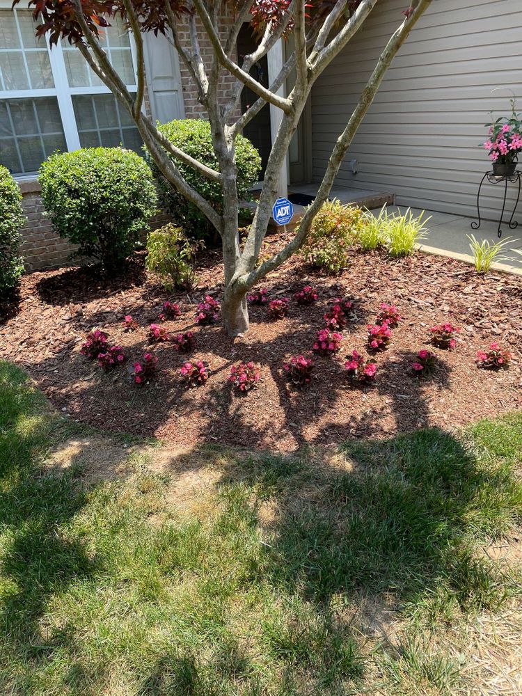 Landscaping for Transforming Landscaping & Tree Service in Bowling Green, KY