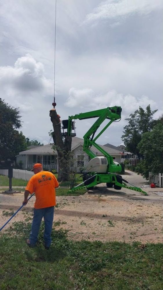 All Photos for Daniel Hickey’s Tree Service in DeLand, FL