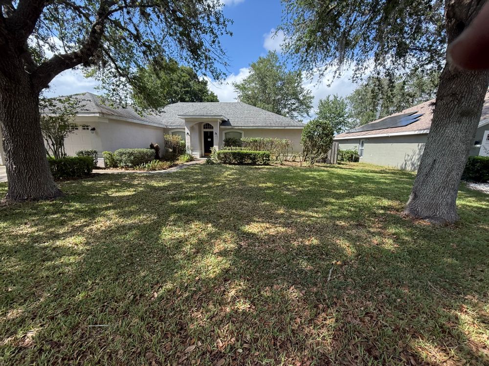 All Photos for Amerigrown Tree And Lawn in Apopka, FL