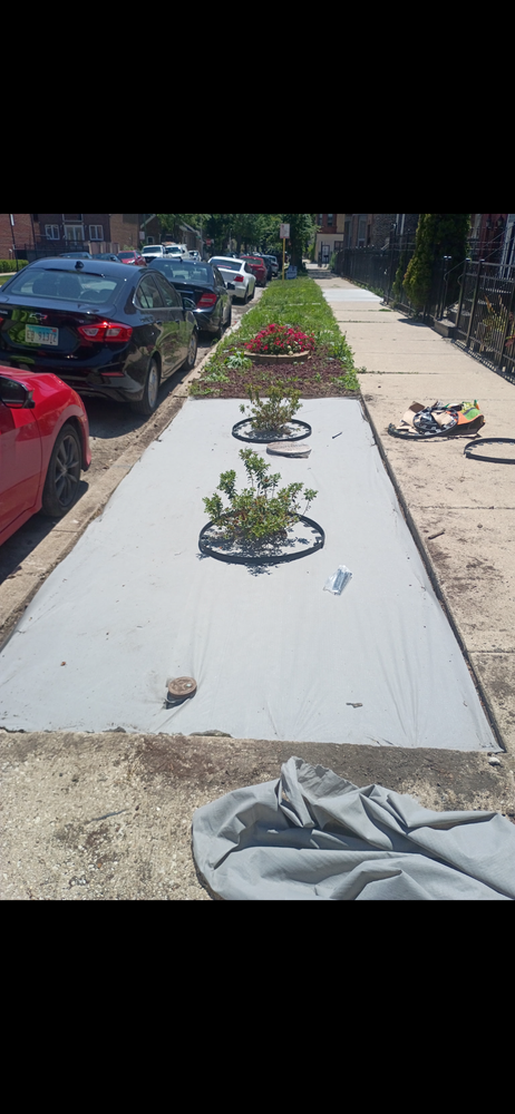 All Photos for Superior Lawn Care & Snow Removal LLC  in Chicago, IL