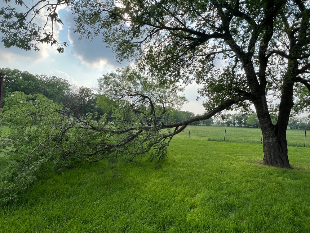 All Photos for DR Landscape in San Antonio, TX