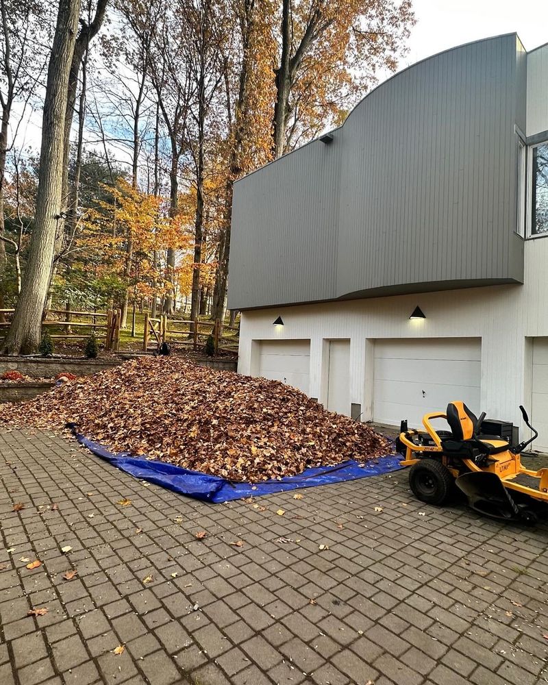 Our fall and spring clean up service ensures your property remains pristine, removing debris and preparing your lawn for the changing seasons. Enjoy a tidy, revitalized landscape year-round with our expert care. for LGZ Landscaping LLC in Belleville, NJ