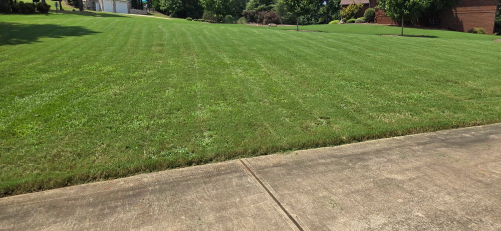 All Photos for Fresh Cut Yard & Lawn Care LLC in Forsyth, GA