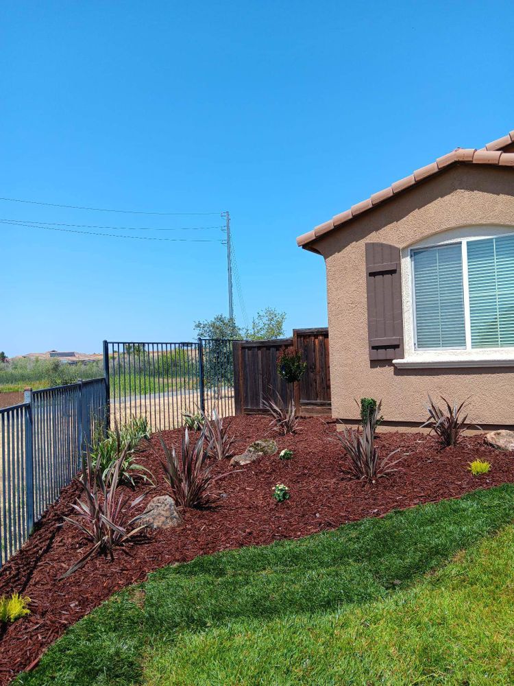 Enhance your garden's appeal with our professional mulch installation service, improving soil health, moisture retention, and weed control while adding a polished finish to your landscape. Perfect for beautifully maintained outdoor spaces. for Alex & Son Concrete and Landscaping in Lincoln, CA