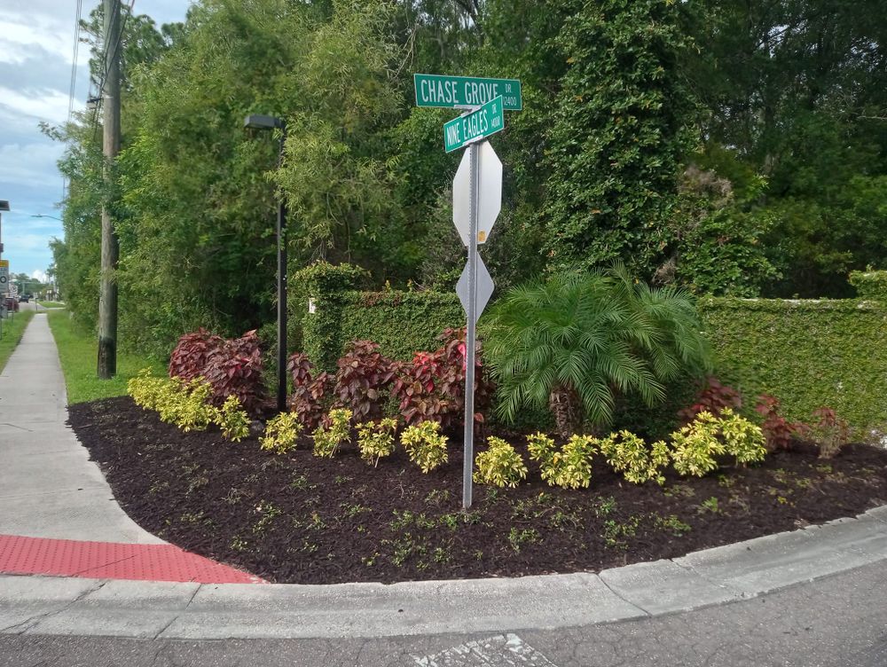 Landscaping for Lawn Dogz Lawns & Landscaping in Tampa, FL