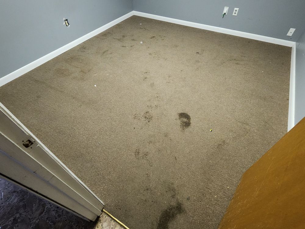 Carpet Cleaning for Sammy's Carpet Cleaning in Lewis County, TN