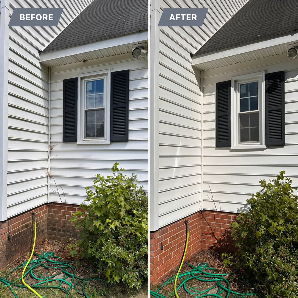 All Photos for LeafTide Solutions in Richmond, VA