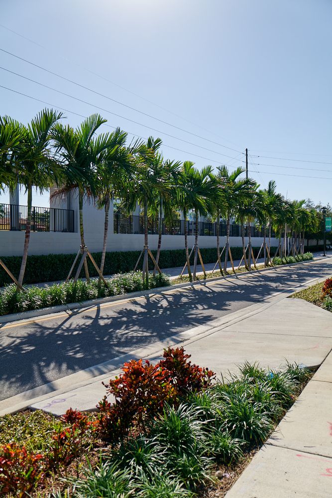 Landscape for Arazoza Brothers Corporation in Miami, FL