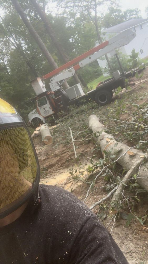 All Photos for Dwights Tree Service LLC in Middleborough, MA