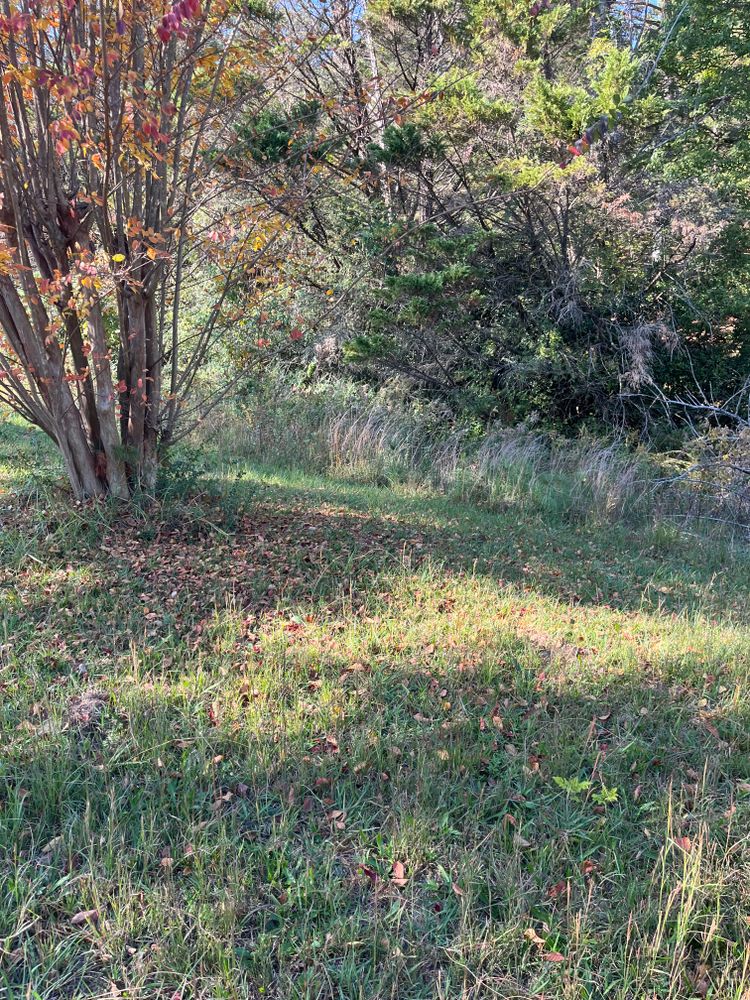 All Photos for J.P Landscaping and excavation in Chattanooga, TN