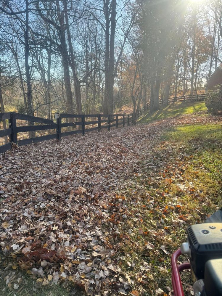 All Photos for Chiles Lawn & Landscaping in Gordonsville, VA