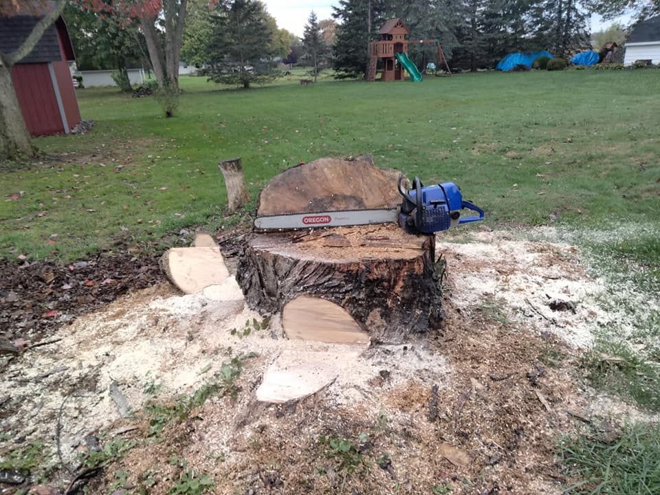 Tree Removal for Billiter's Tree Service, LLC in Rootstown, Ohio