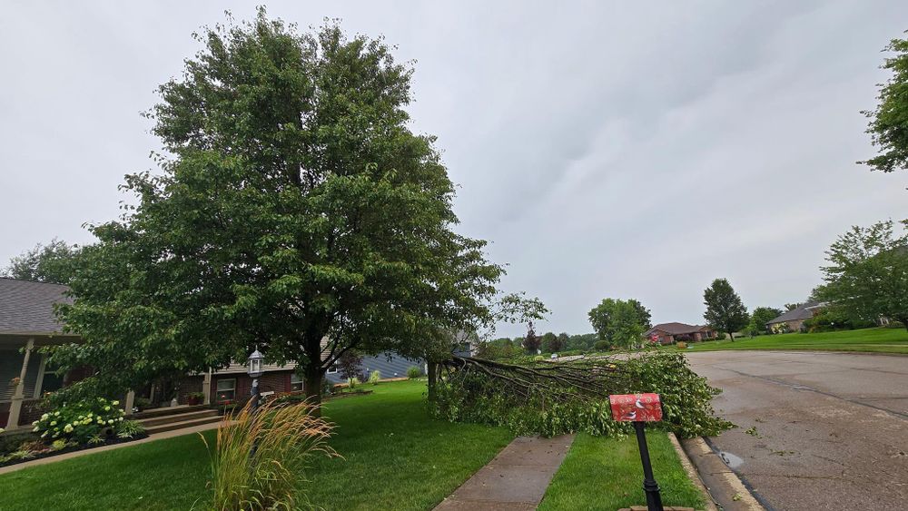 All Photos for F & F Tree Service in Beavercreek, OH