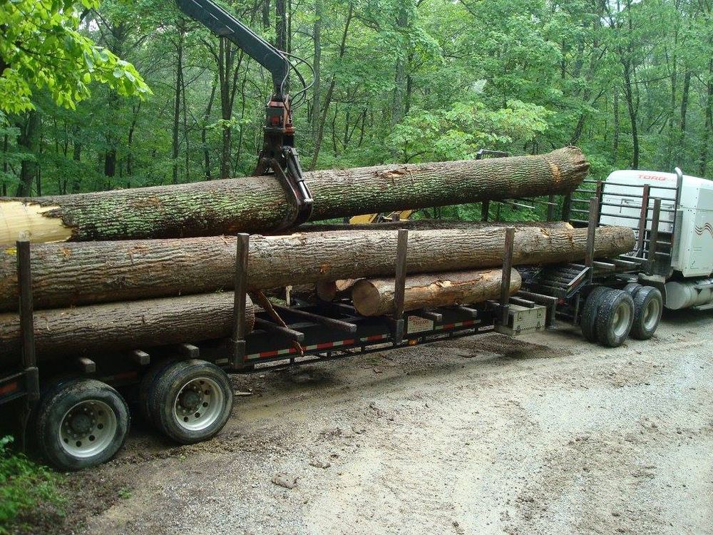 Logging for Bennett Logging in Gosport, Indiana