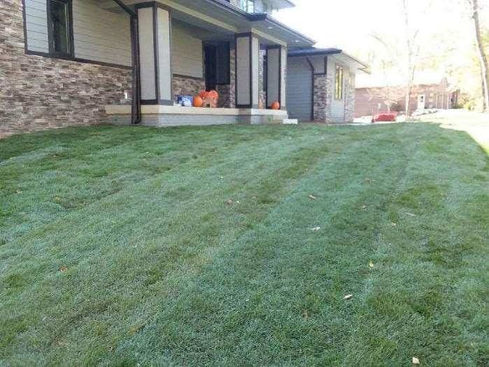 Our Seeding service enhances your landscaping by planting grass seed for lush, healthy growth. Achieve a beautiful lawn with our expertise in preparing the soil and implementing effective seeding techniques. for Brownstone Grading in Perry, IA