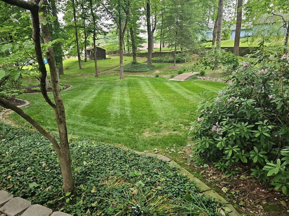All Photos for The Grass Guys™ in Evansville, IN