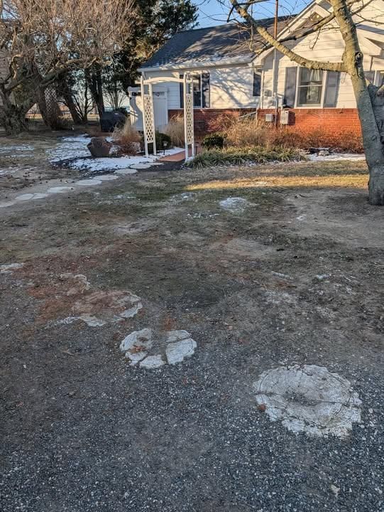 All Photos for Turtle's Haul-Away & Junk Removal in Stevensville, MD