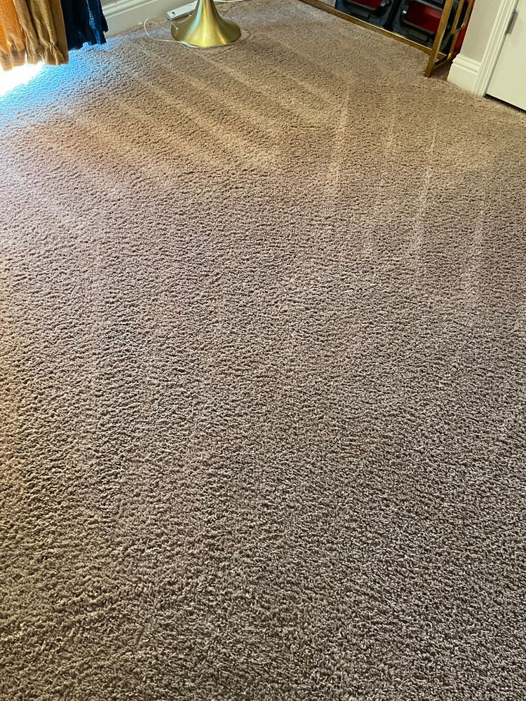 Carpet Cleaning for Randy’s Janitorial in Vallejo, CA