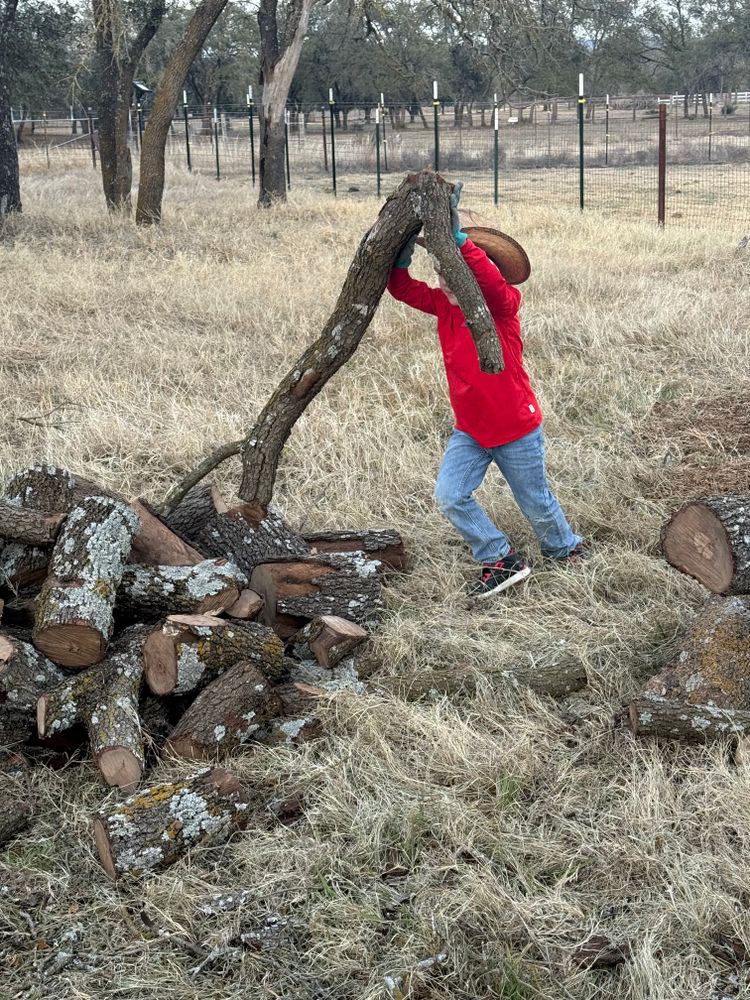 All Photos for Oakley’s Stump ‘N Grind in Leander, TX