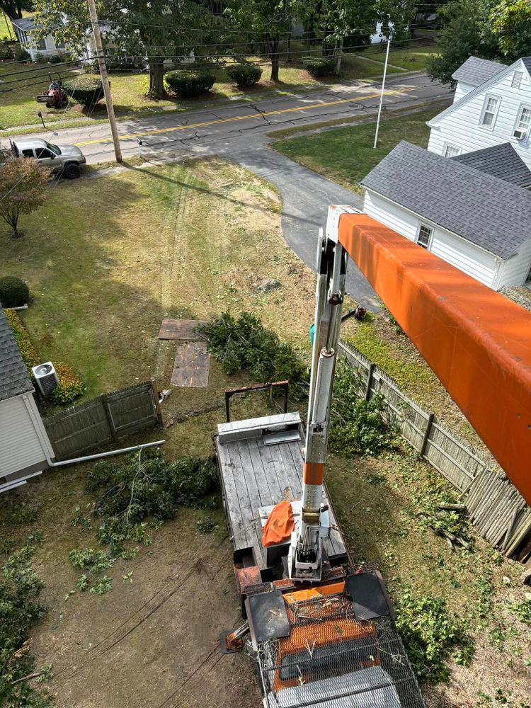 All Photos for Dwights Tree Service LLC in Middleborough, MA