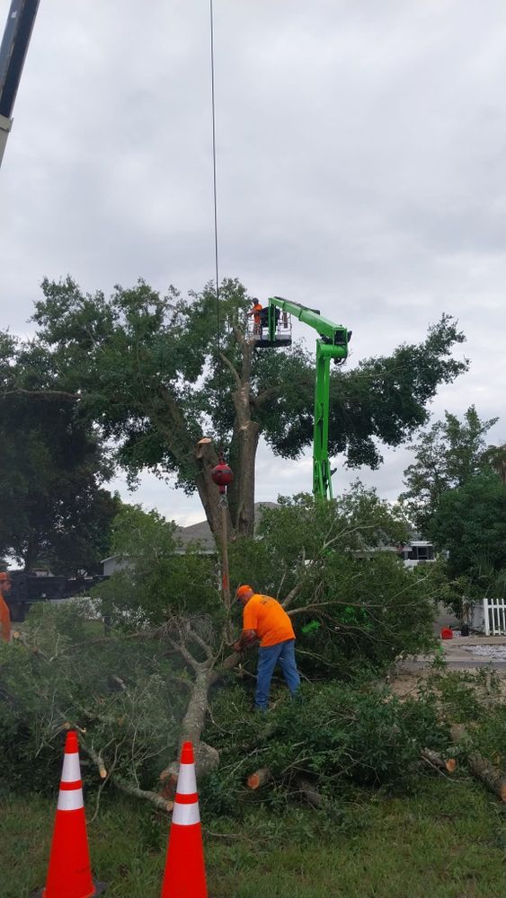 All Photos for Daniel Hickey’s Tree Service in DeLand, FL