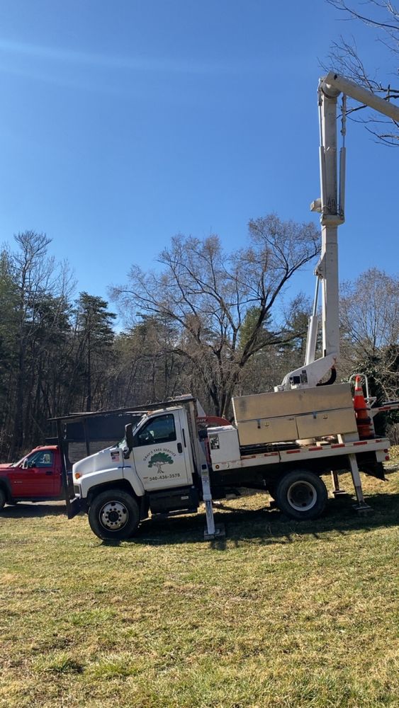Enhance your property's beauty and safety with our professional tree trimming service, promoting healthy growth and preventing hazards by expertly pruning dead or overgrown branches. Enjoy a vibrant landscape year-round! for Gray’s Tree Service Inc in Maurertown, VA